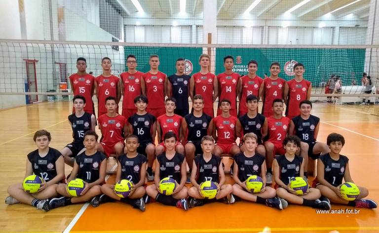 Voleibol