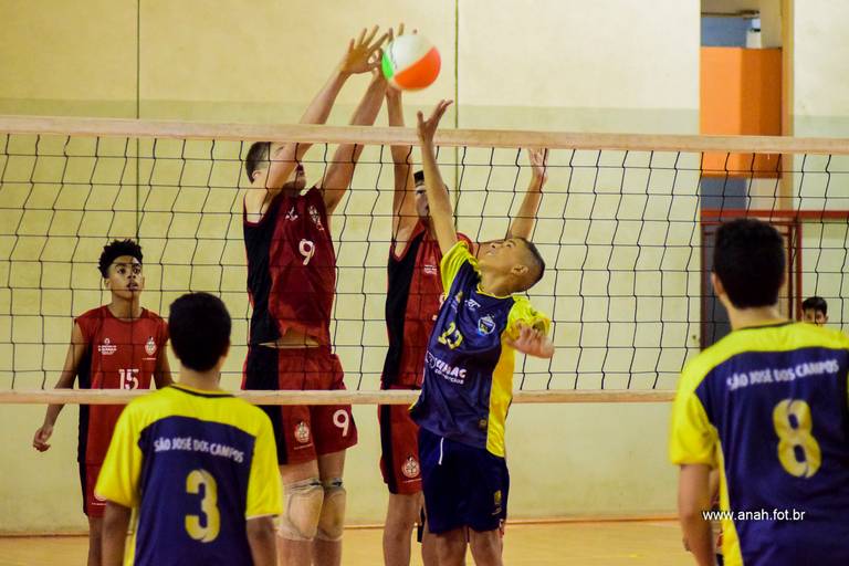 Voleibol