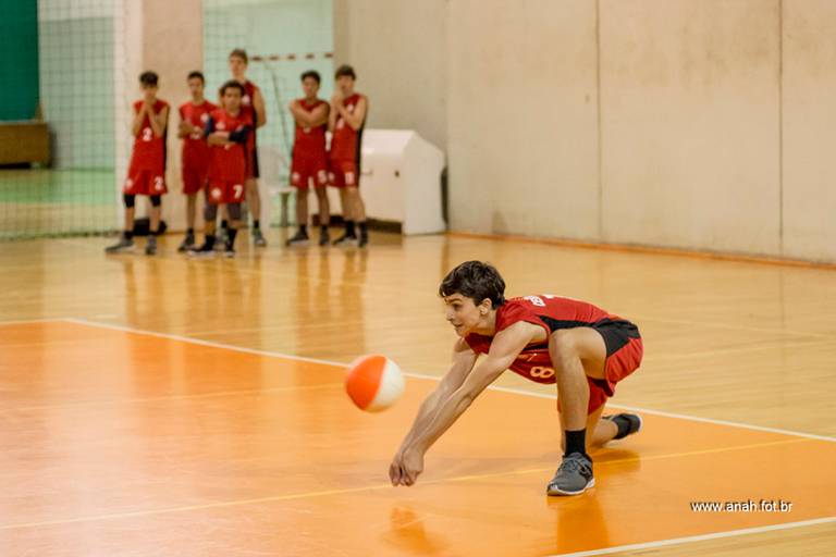 Voleibol