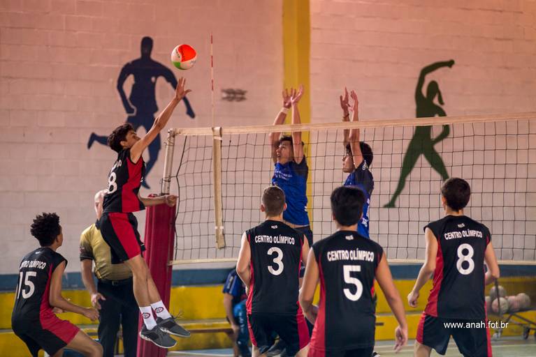 Voleibol