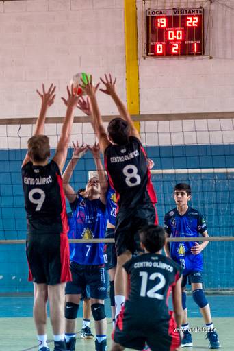 Voleibol