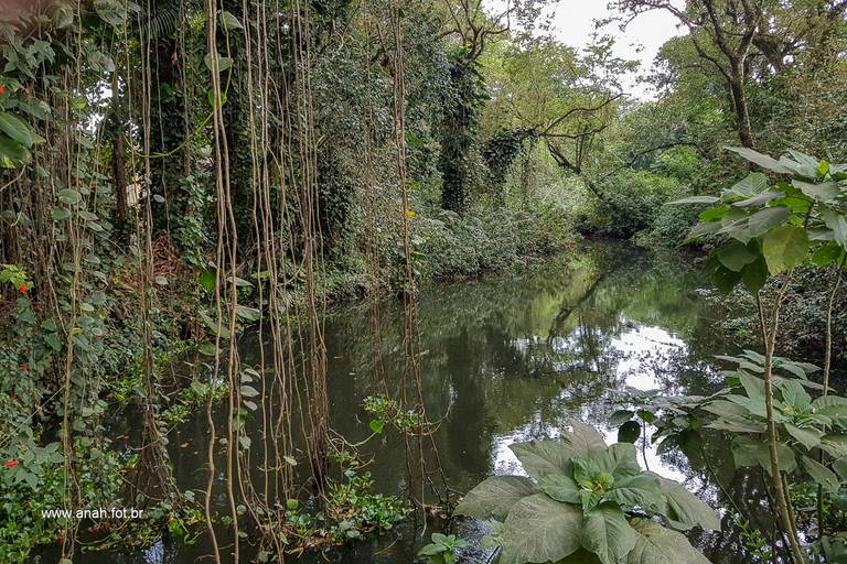 Tenório Acaraú rio