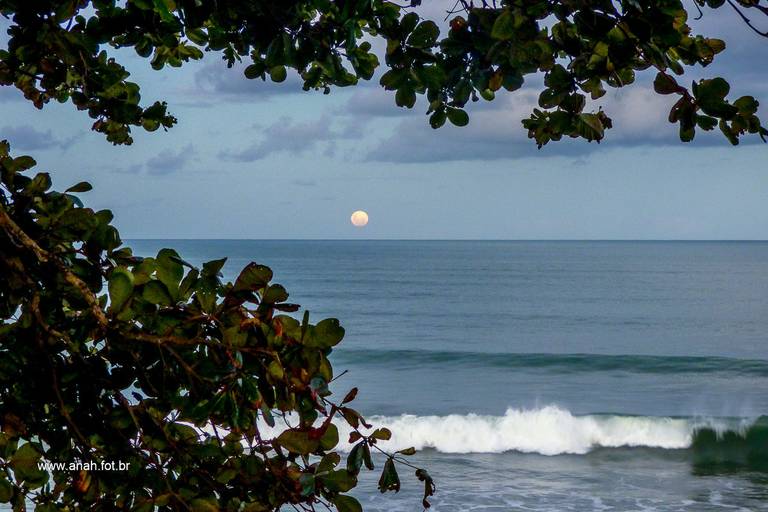 Praia Grande - mirante com Toninhas