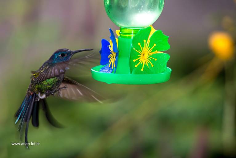 Vivendas do Tenório