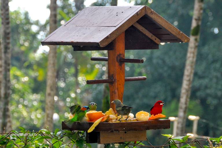 Vivendas do Tenório