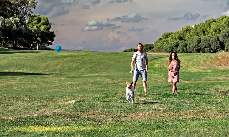 foto mascota aiguesverds