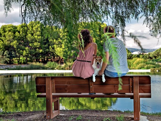 reportaje fotos mascota