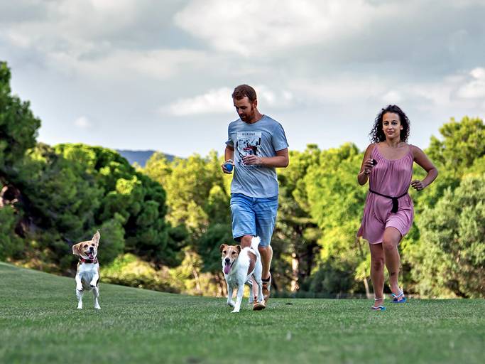 foto mascota aiguesverds