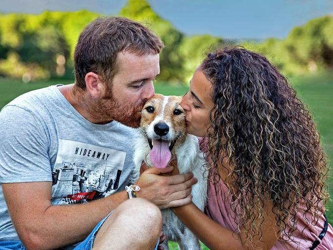 fotografo de mascotas