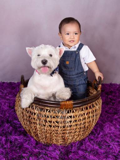 sesión fotos con mascota