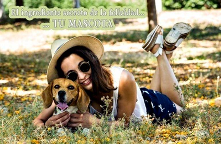 fotografo de mascotas