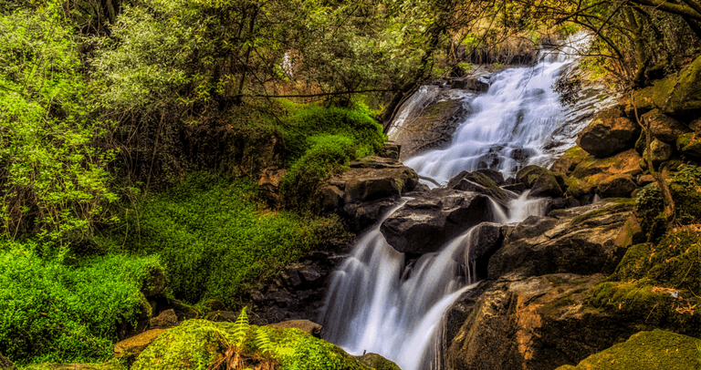 #SessãoSolteiros #rosatiago #fotogrfoporto #rmpro #solteiro #o  #solteira #amor #casal #solteiros #love #instagram #namoro #carioca #insta #amigos #a #relacionamento #solteiras #homens #Porto #Gaia #Trashthedress