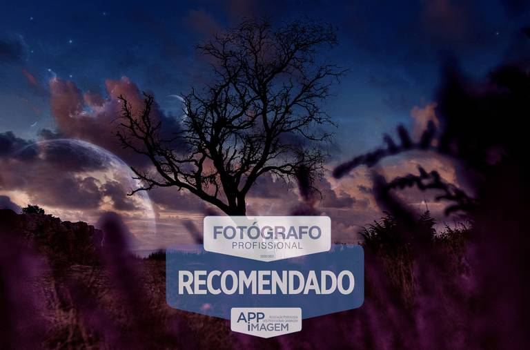 #CasamentoParedes #CasamentoPenafiel #CasamentoAmarante #MelhorFotografoCasamento #CasamentoRebordosa #RMPro #RicardoMaiaFotografia #quintadafelicidade #quintadospinheirais #quintadosbambus #quintamontebelo  #QuintadoPineiro #CasamentoPorto #CasamentoPort