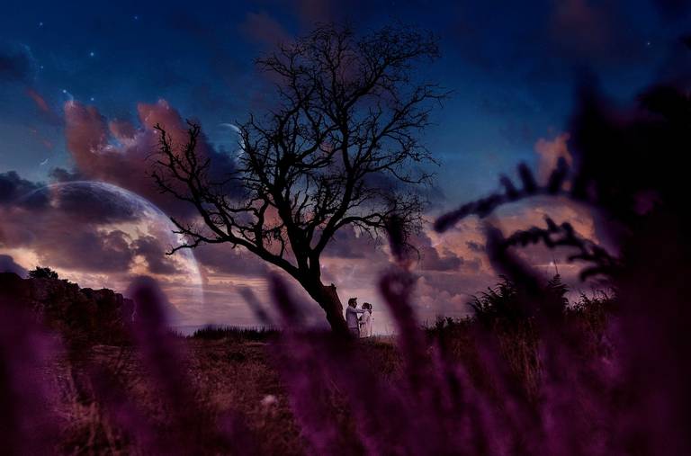 #CasamentoParedes #CasamentoPenafiel #CasamentoAmarante #MelhorFotografoCasamento #CasamentoRebordosa #RMPro #RicardoMaiaFotografia #quintadafelicidade #quintadospinheirais #quintadosbambus #quintamontebelo  #QuintadoPineiro #CasamentoPorto #CasamentoPort