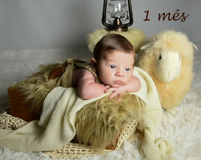 ovelhinha - 2 a 3 meses