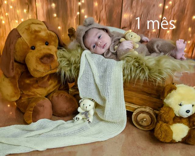 Ursinho no carrinho - 1 a 2 meses
