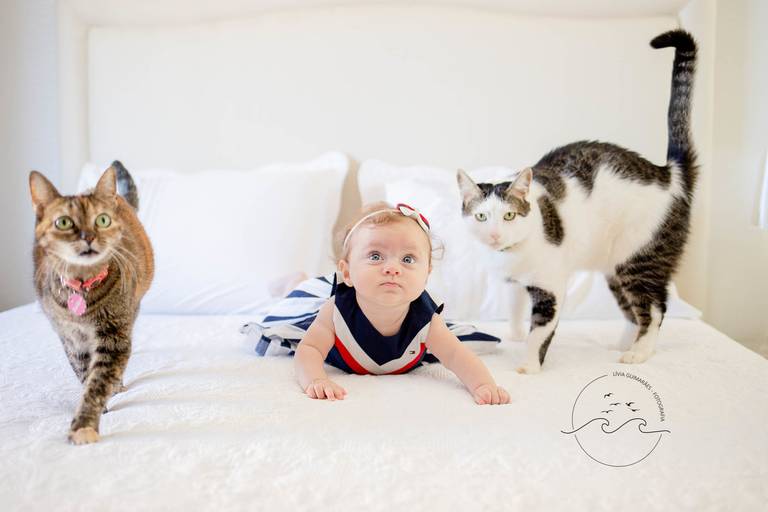 ensaio_de_bebe_familia_goiania_fotógrafa_goiania 