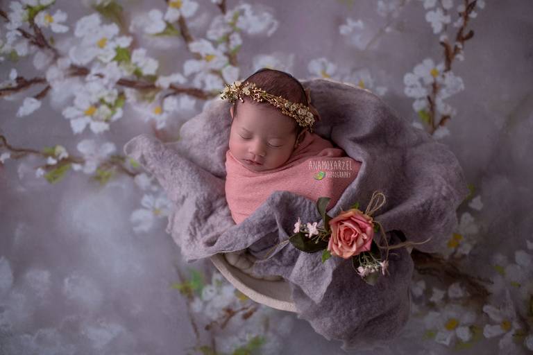 Ana Mokarzel Fotografia - newborn - recém nascido - Belém - Pará - fotógrafa de família - fotógrafa -  newborn - fotógrafa infantil - ensaio de família - família - fotógrafos de Belém - Ana Mokarzel - ensaio newborn - book newborn