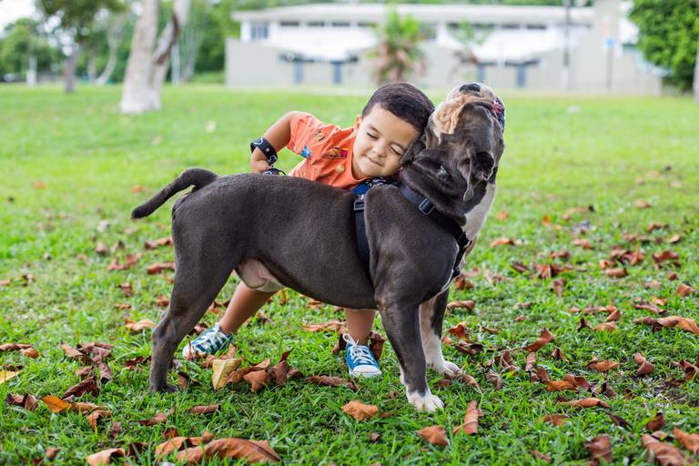 Ana Mokarzel Fotografia - ensaio de família - book de família- Belém - Pará - fotógrafa de família - fotógrafa -  newborn - fotógrafa infantil - ensaio de família - família - fotógrafos de Belém - Ana Mokarzel - anamokarzel - anamokarzelfotografia