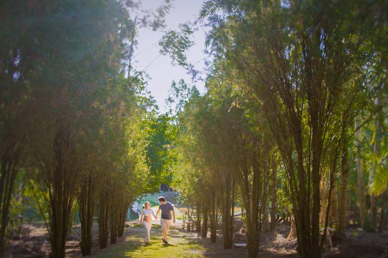 Um caminho de grama, o casal andando e se olhando, de mãos dadas. Ao lado uma fileira de árvores
