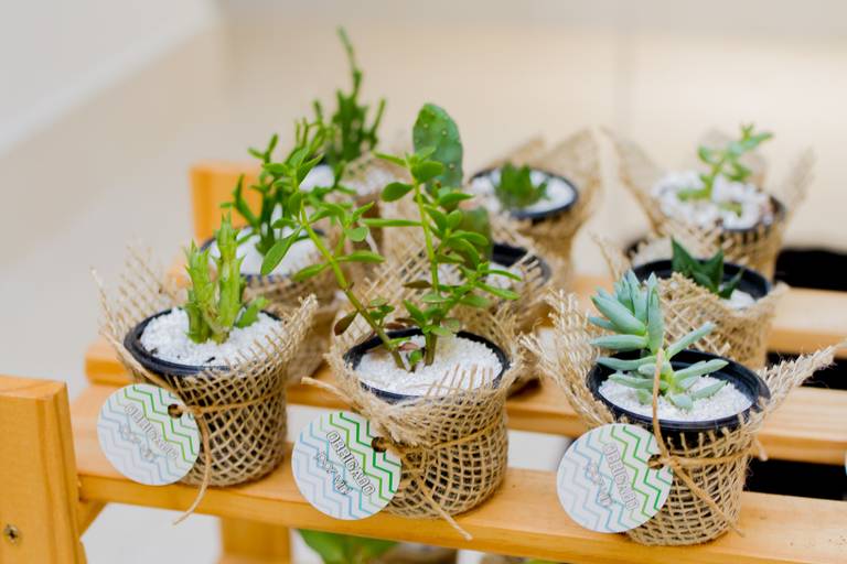 Lembrancinhas de suculentas 