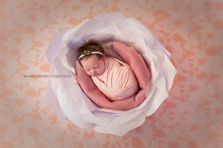 Nesta fotografia, a fotógrafa Mônica Rivaroli de Maringá/PR, posicionou a bebê em uma flor de papel. A bebê está enroladinha em um tecidinho fofinho como um miolinho da flor