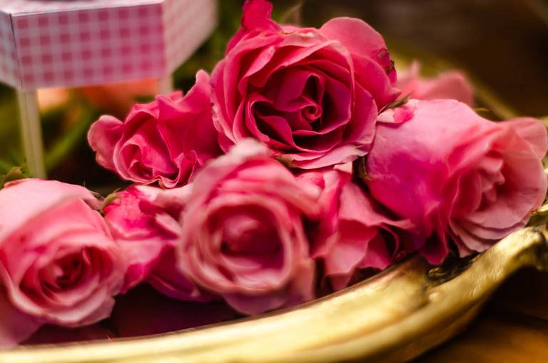 Decoração da Bela & A Fera em festa infantil de aniversário na Quintal Aventura  Em Botafogo no Rio de Janeiro