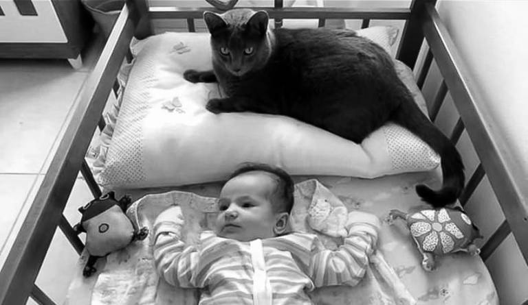 Bebê no seu bercinho dentro de casa com seu gato de estimação 