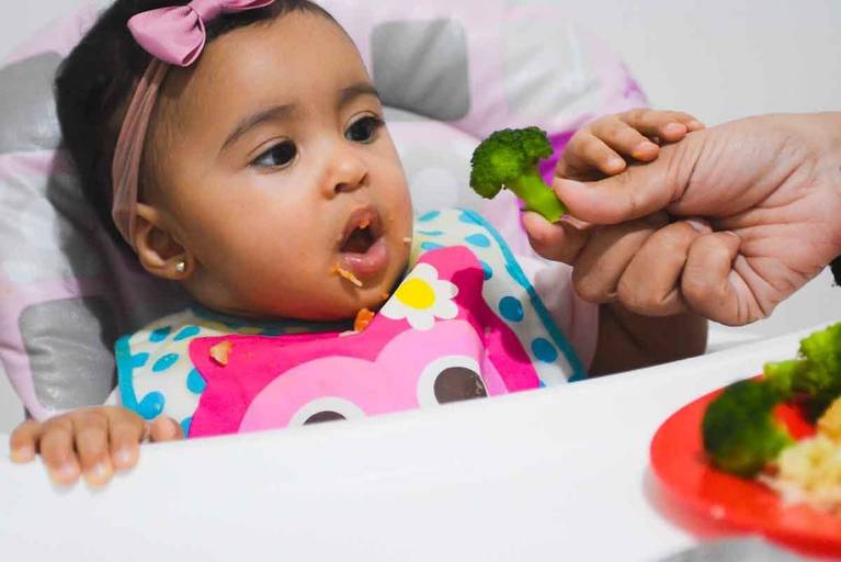 Introdução Alimentar do bebê de 6 meses no Rio de Janeiro