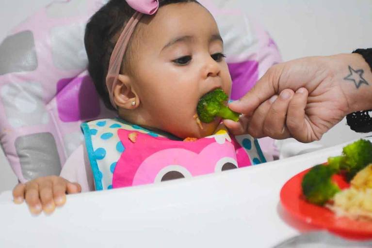 Introdução Alimentar do bebê de 6 meses no Rio de Janeiro