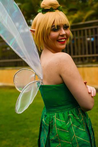 Festa Infantil Personagens Vivos Sininho Tinker Bell Peter Pan Val Personagens - Barra da Tijuca no Rio de Janeiro 