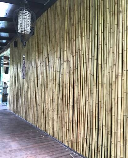 Painel de bambu inteiro