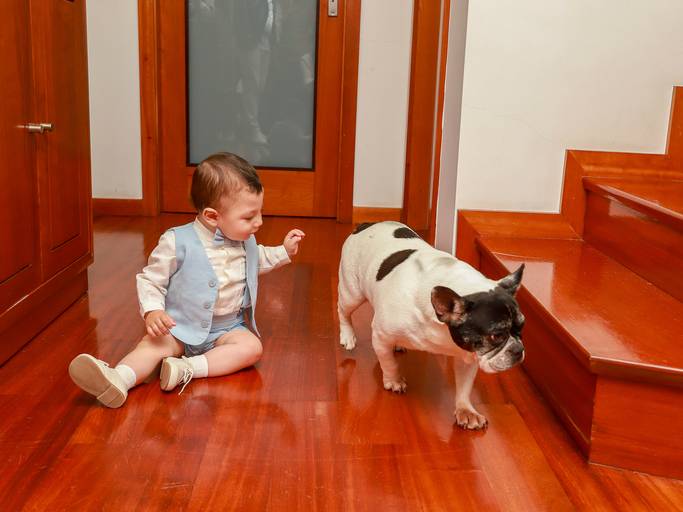 agendademocoespt_fotografia_batizados