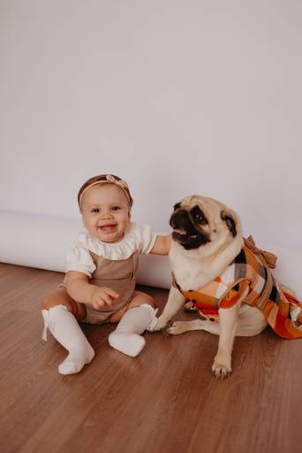 ensaio bebe menina 9 meses no estudio, estilo boho, ensaio pinterest



fotos em familia no estudio



