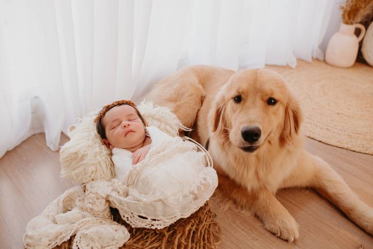 sessao newborn; newborn; campo grande; fotos fran duailibi; mae de menina; mae de menino; pai de menina; pai de menino newborn; ensaio newborn; fotos de recem nascido campo grande; fotografo em campo grande; recem nascido 