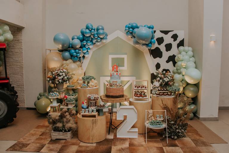 franciele duailibi photography; 
fotografia de festa infantil campo grande; fotografo em campo grande;
fotografo cg;
decoração de festa infantil ; decoração fazendinha
festa infantil campo grande
fotos de aniversario infantil;
fotografo de festa cg, festa