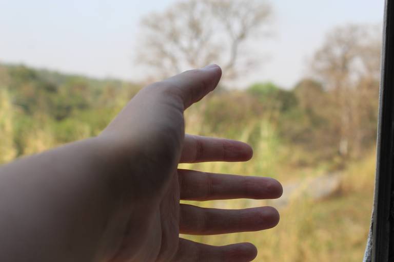 Movimento do trem. Expressão corporal: a mão na ação.