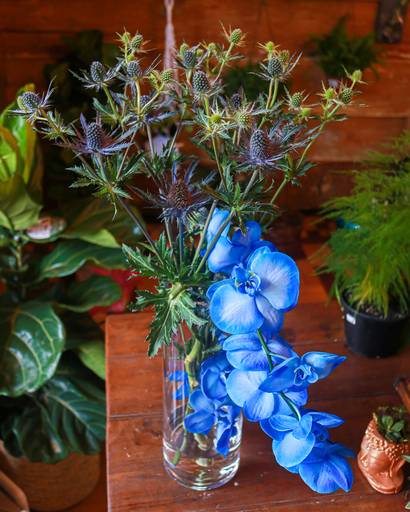 Arranjo para banheiro