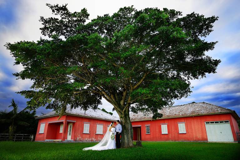 Fotos de Noivos na Natureza
