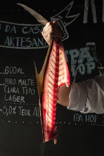 Ensaio perfil profissional- conceitual