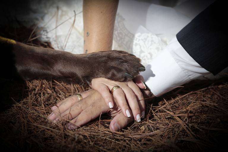 Eu Amo Meu Pet-Fotos Com Pet