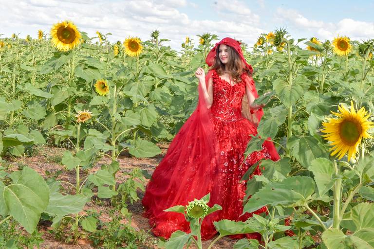 Ensaio de 15 anos nos girassóis