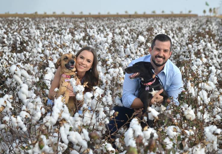 Ensaio Pre Wedding no Campo de Algodão