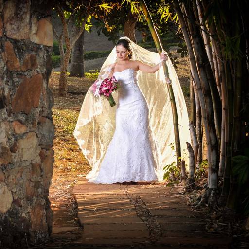 previa de noiva-ensaio fotografico no instituto israel pinheiro