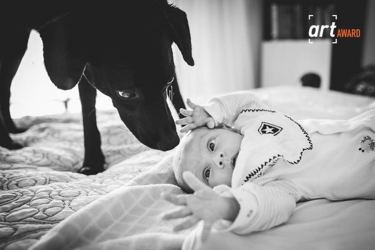 FOTOS DE CACHORROS E BEBES