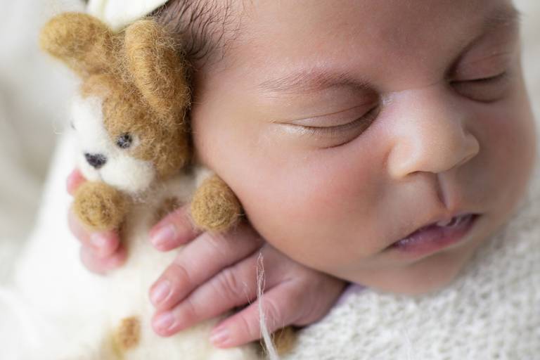 Ensaios newborn em BH 