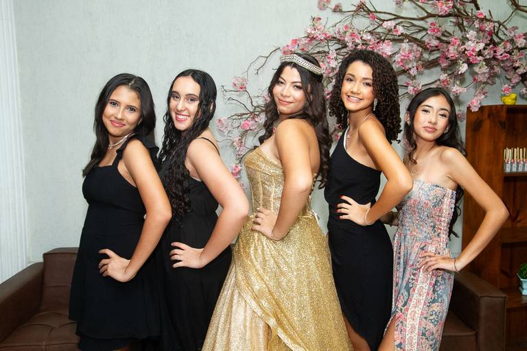 Cobertura fotográfica Laura 15 anos 