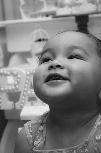 Festa de um ano com o tema jardim encantado São Paulo, SP - Evelyn Taynara Ph