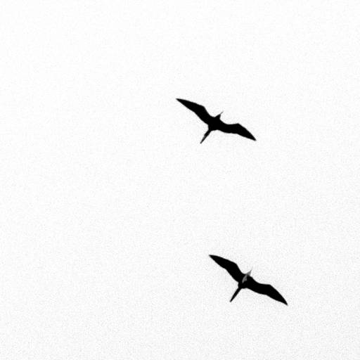 Díptico Gaivota. Disponível em 20x20cm