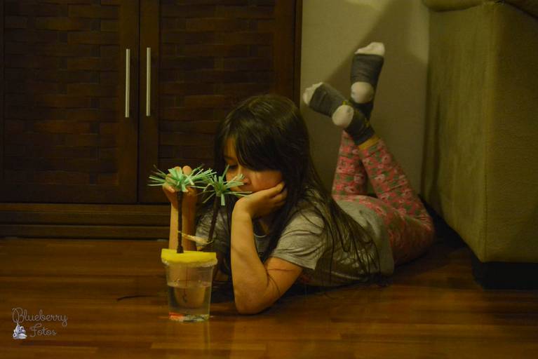 criança olhando uma decoração